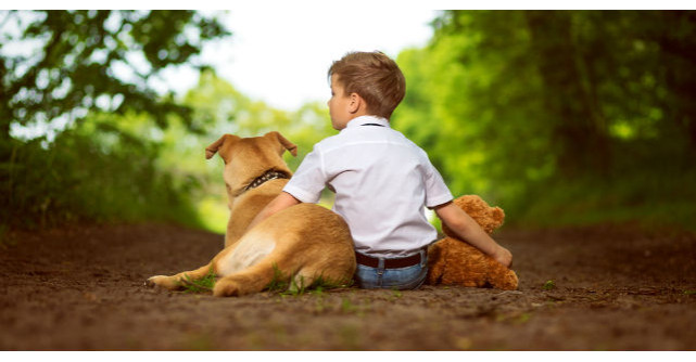 Un tanar sarac mergea prin padure dupa lemne pentru foc. In calea lui a aparut un om batran