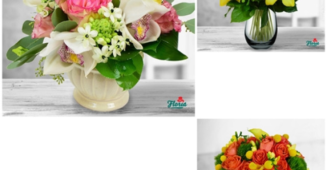 Tendinte in colectia de toamna de la Floria.ro: orhideea Cymbidium, bijuteria colectiei