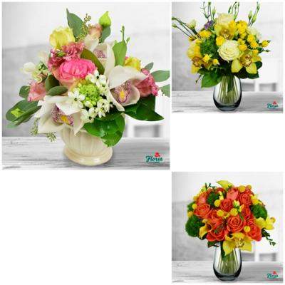 Tendinte in colectia de toamna de la Floria.ro: orhideea Cymbidium, bijuteria colectiei