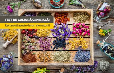 Test de cultura generala: Recunosti aceste daruri ale naturii?