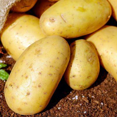 Reteta vegana de primavara: Cartofi la cuptor cu crema de leurda