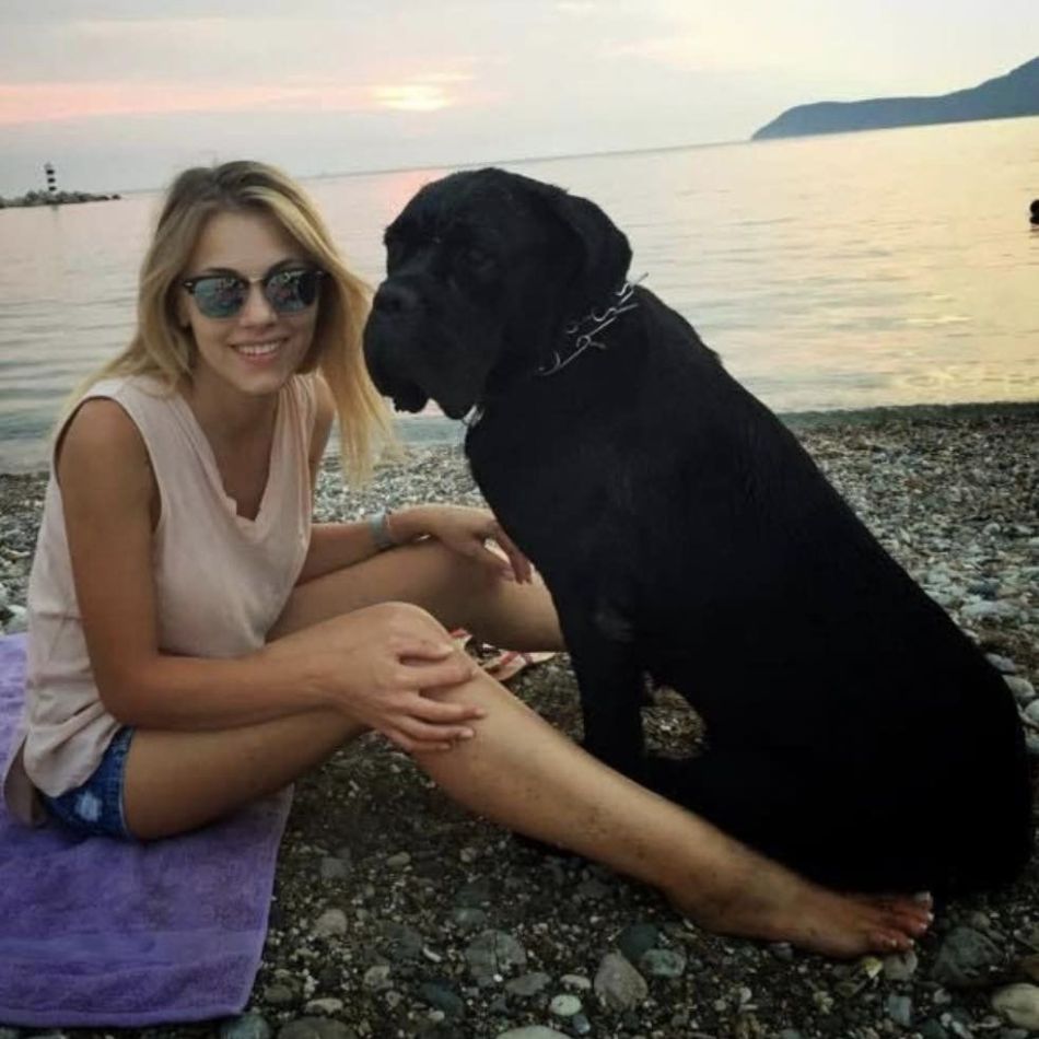 Andreea Ibacka și-a găsit câinii! Anunțul său a fost distribuit în număr mare: Din toată inima noastră vă rugăm să ne ajutați...