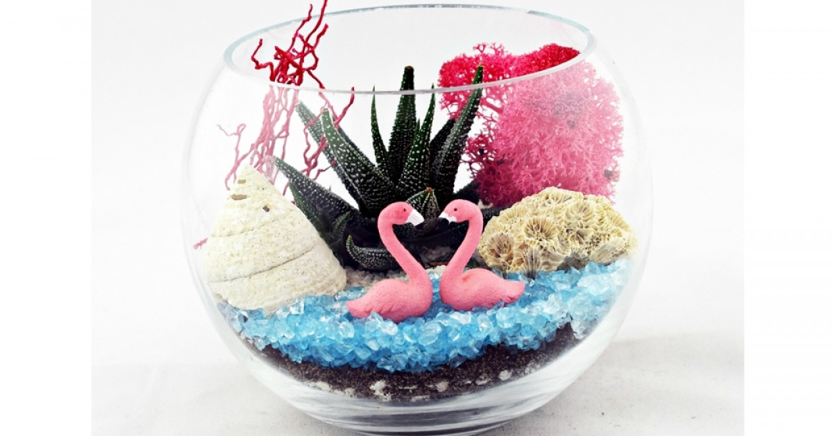 Poza 1 din 4 gradina zanelor