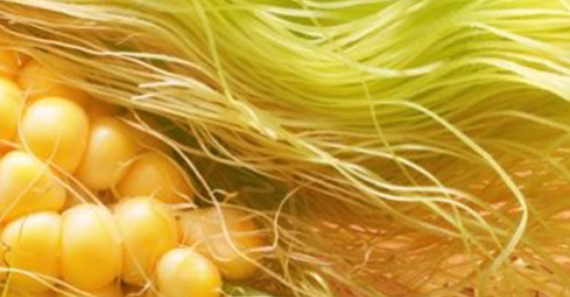 Matasea de Porumb - mana cereasca vindecatoare. Elimina toxinele, trateaza cistita, reduce inflamatiile! 