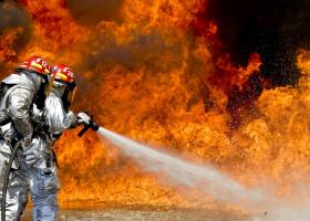 Billy Crystal, Paris Hilton, Anthony Hopkins și alte celebrități afectate de incendiile devastatoare din Los Angeles