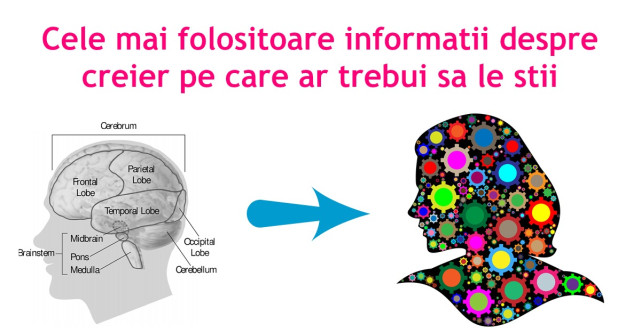 8 CURIOZITATI despre CREIER pe care trebuie sa le stii!