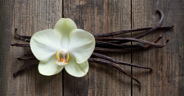 Efectele miraculoase ale vaniliei, condimentul care calmeaza orice DURERE