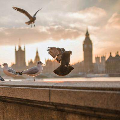 Destinatii de Oscar: cand sa calatoresti in cele mai premiate destinatii din filme