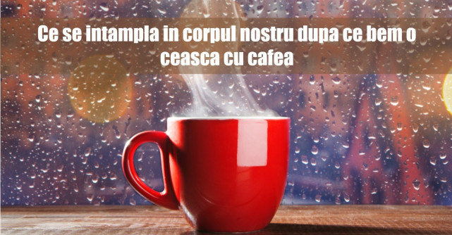Ce se intampla in corpul tau dupa ce bei o ceasca de cafea?