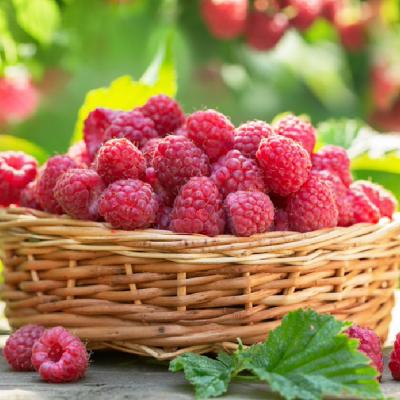 Câte calorii are ZMEURA și ce beneficii sănătoase prezintă?