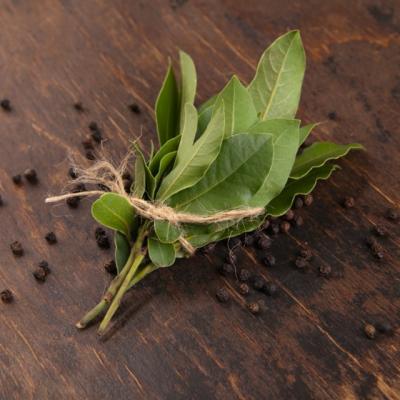 9 lucruri pe care le poti face cu cateva frunze de dafin. Cum iti pot salva viata