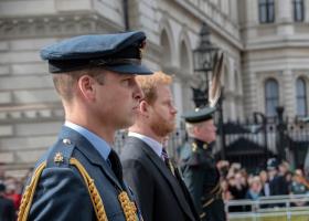 Prințul Harry, convins că William e responsabil pentru distanțarea de Casa Regală
