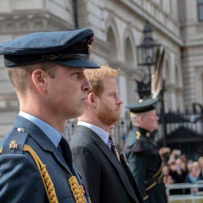 Prințul Harry, convins că William e responsabil pentru distanțarea de Casa Regală