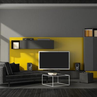 Suport TV - idee de cadou de Crăciun pentru familie și prieteni