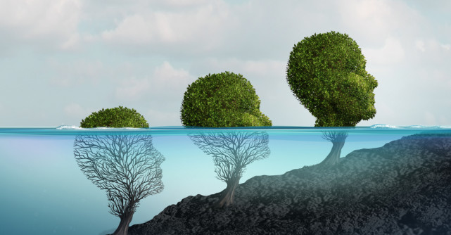 Cele patru zone ale dezvoltării personale