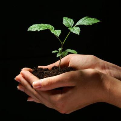 Retete biblice de tratamente naturiste. Hrana vietii