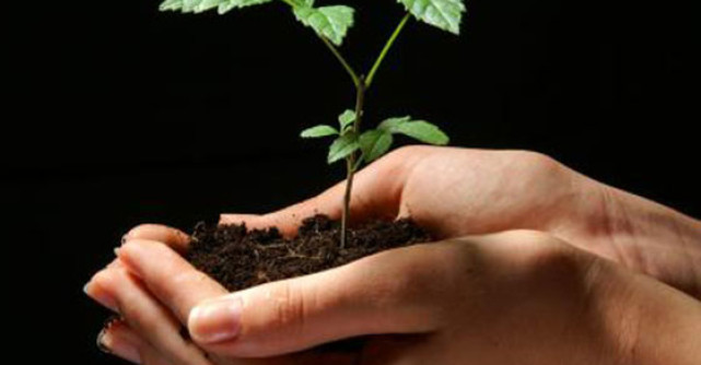 Retete biblice de tratamente naturiste. Hrana vietii