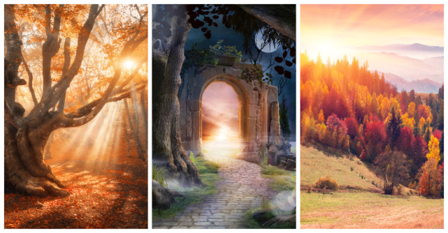 Alege o imagine si afla ce te asteapta in toamna lui 2022