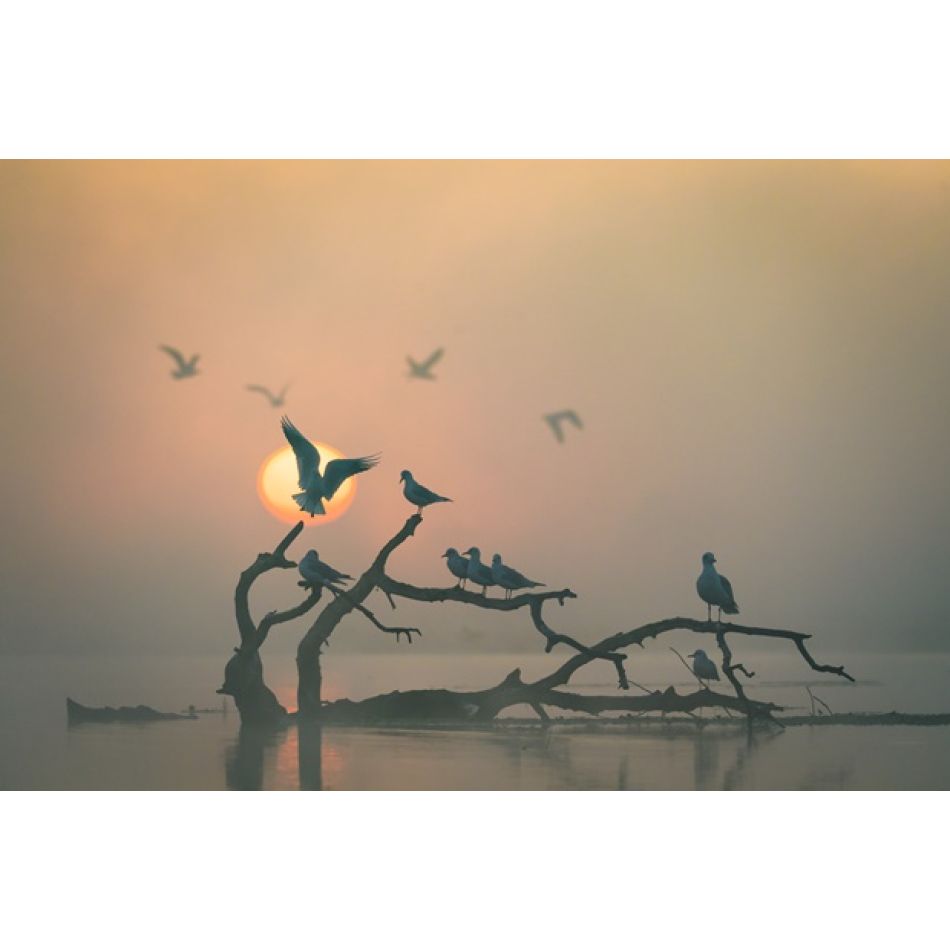 Miniseria „România sălbatică”, din 12 mai pe HBO Max