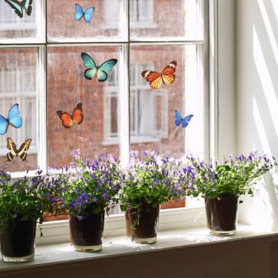 Decoratiuni de toamna pentru locuinta ta