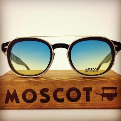  Vedetele au ales MOSCOT 