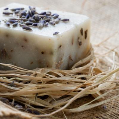 Astazi incepe programul educational Protex