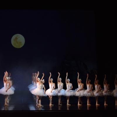 Lacul lebedelor de Ceaikovski, cel mai îndrăgit balet al tuturor timpurilor, revine pe scena Operei Naționale București