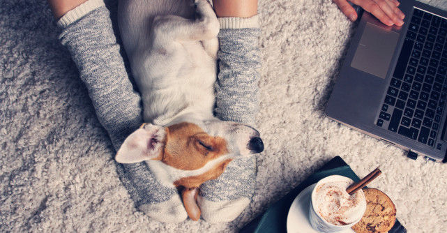 Cinci moduri simple pentru a scăpa de anxietate