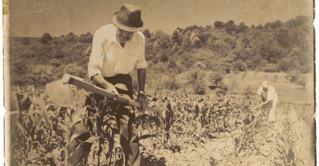 Nimic nu e întâmplător. În viață totul se întâmplă cu un scop