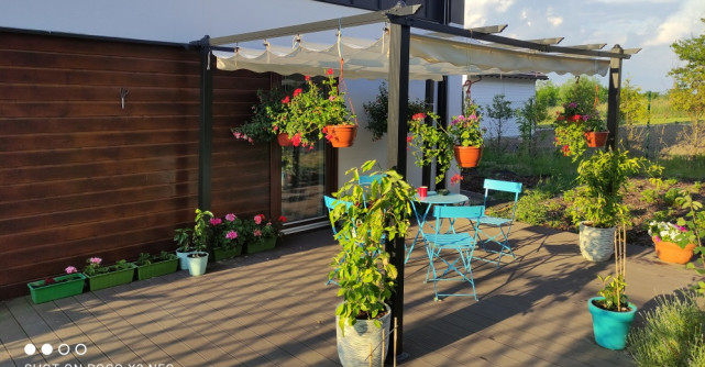 Modalități populare de a oferi umbră în grădină