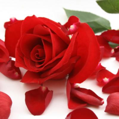 Video: Estelle lanseaza Thank You