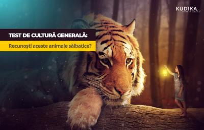 Test de cultura generala: Recunosti aceste animale salbatice?