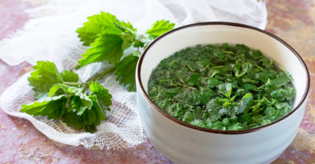 Urzicile si beneficiile lor