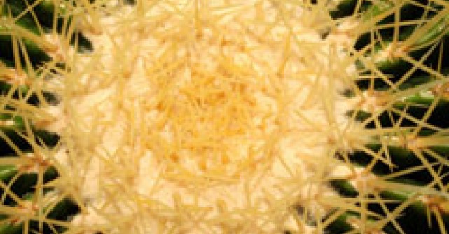 Uimitor: 80% dintre persoanele intre 15 si 59 de ani sunt afectate de fisuri anale