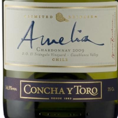 Vina Concha y Toro obtine cele mai mari punctaje din partea Robert Parker 