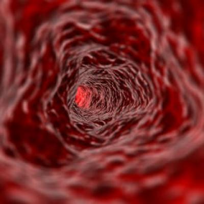 11 beneficii ale fierului in organism