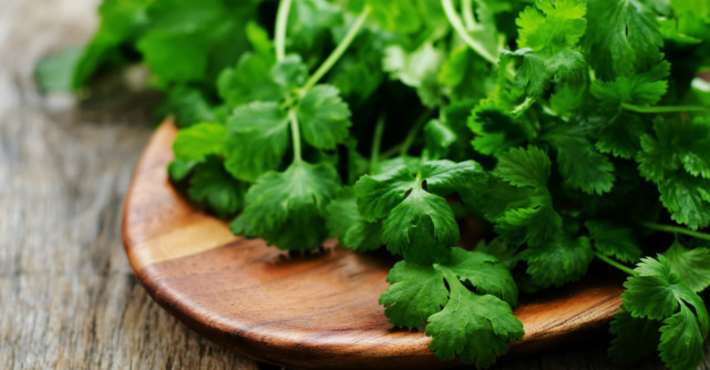 Coriandrul. Cinci beneficii pentru sanatate
