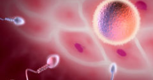 Afla cum sa primesti finantare pentru fertilizarea in vitro