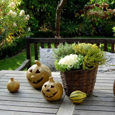 Perfect pentru toamna: ce trebuie sa stii despre tartacute