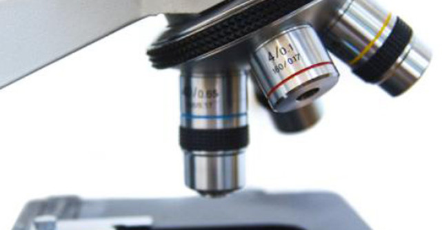 Malaria, cea mai frecventa boala importata de romani