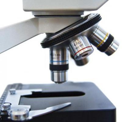 Malaria, cea mai frecventa boala importata de romani