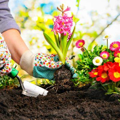 5 hobby-uri care te ajută în lupta cu anxietatea