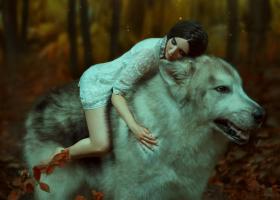 Astrologie: Animalul spiritual in functie de zodie