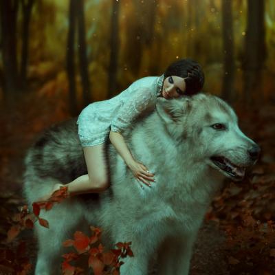 Astrologie: Animalul spiritual al zodiei tale