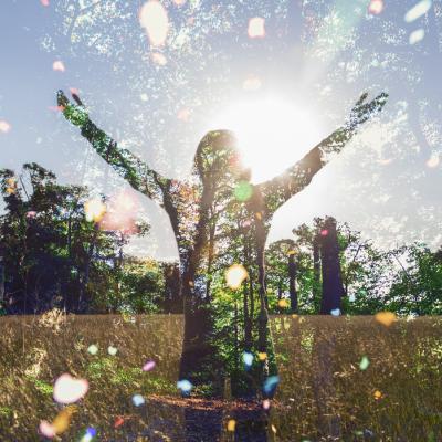 Wayne Dyer te învață cum să îți creezi un decembrie plin de iubire și armonie