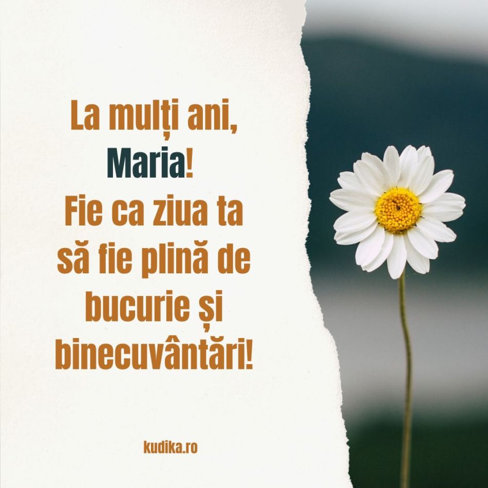Adormirea Maicii Domnului (15 august) și Sf. Maria Mică (8 august). Când spunem La mulți ani? Diferențe și semnificații
