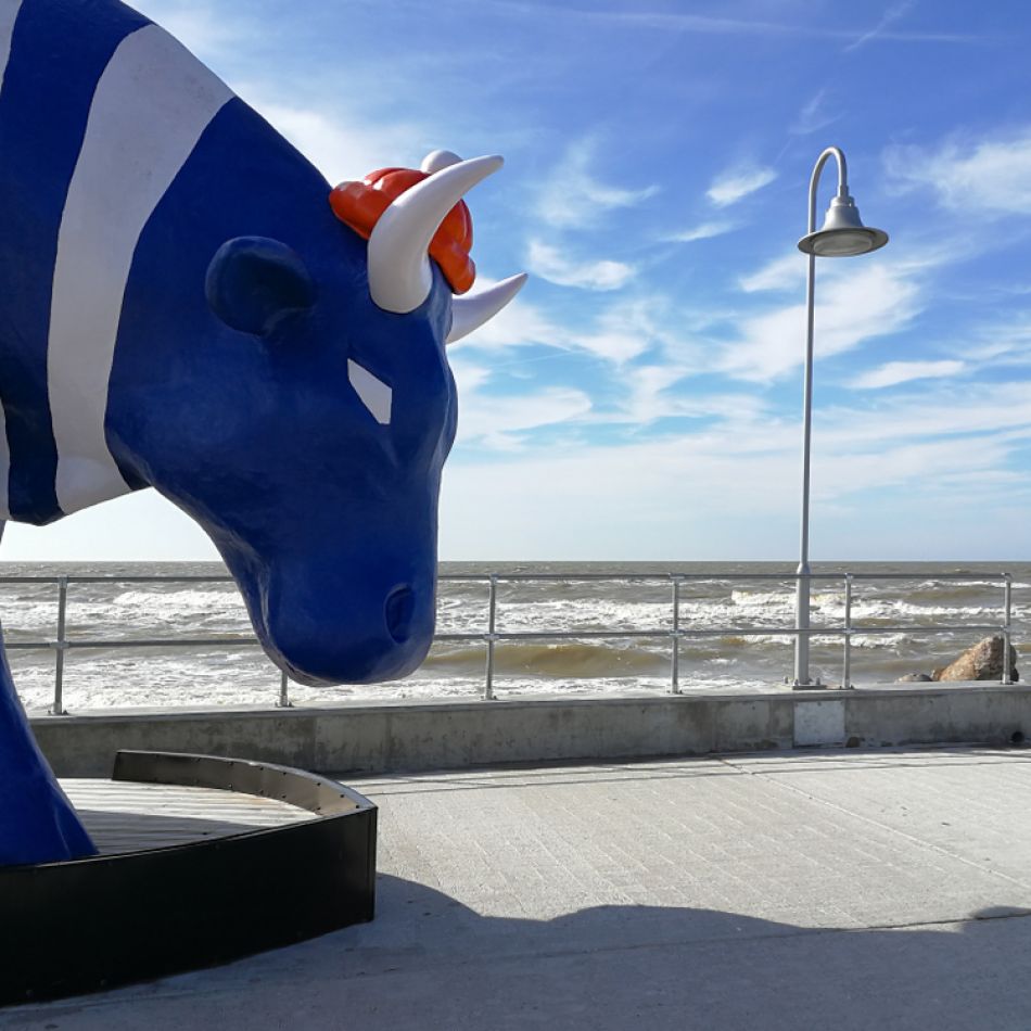 Știați că există o capitală europeană a vacuțelor? Descoperă statutele inedite din orașul Ventspils – GALERIE FOTO