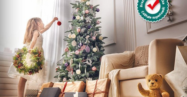 Traditia bradului crescut in ghiveci la Floria.ro continua si in 2017