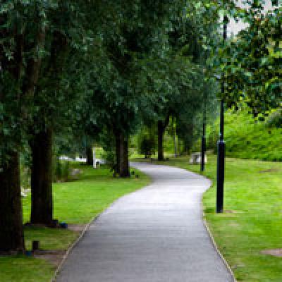 O plimbare in natura poate imbunatati memoria de scurta durata cu 20%