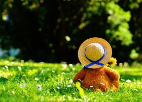 Povestea celebrului ursuleț Paddington, inspirată din realitatea refugiaților. Vocea sa a fost dublată în Ucraina de Zelenski